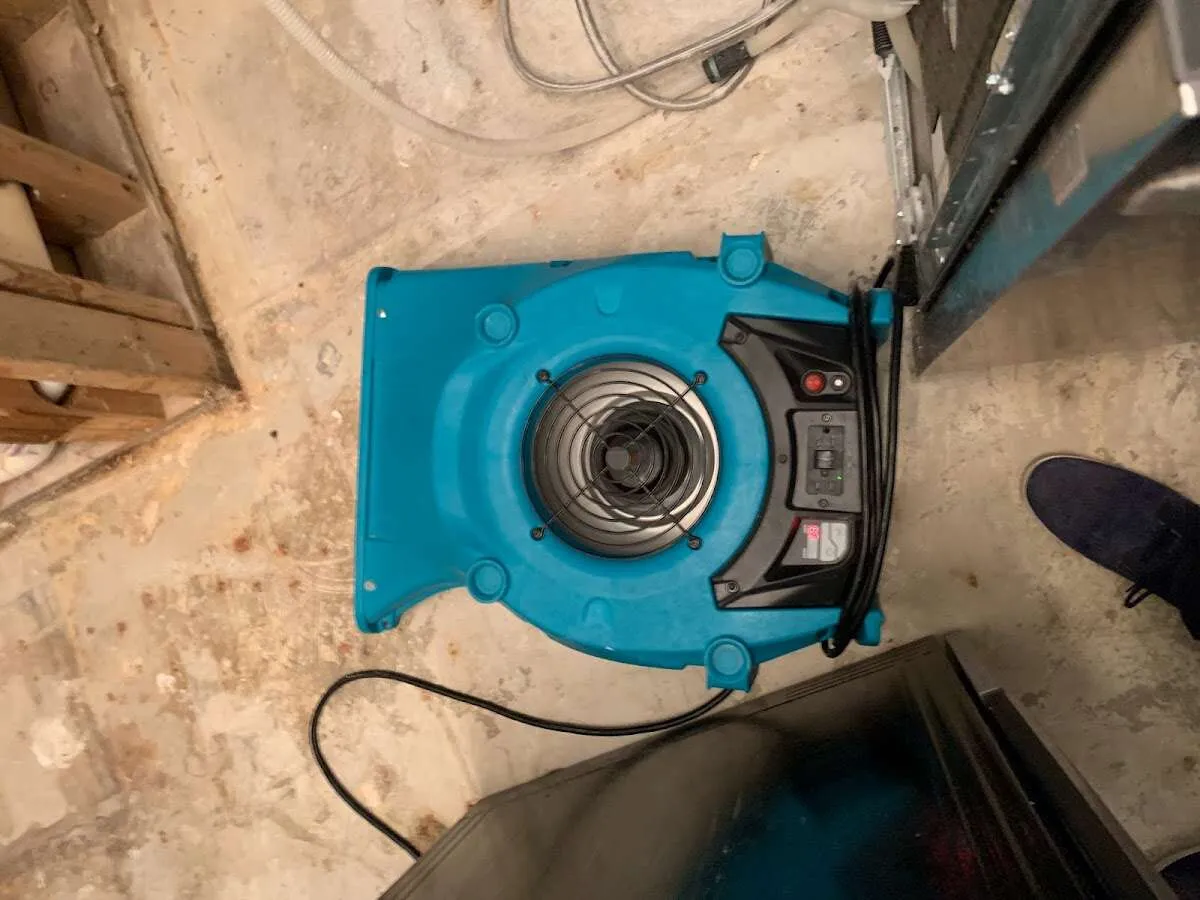 Air mover drying equipment for Mold Remediation & Removal in Royal Palm Beach